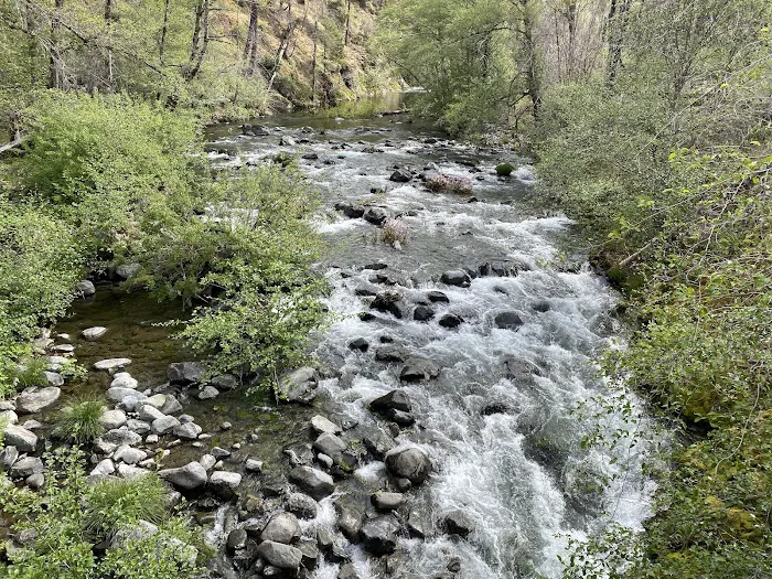 Briggs Creek Campground 5
