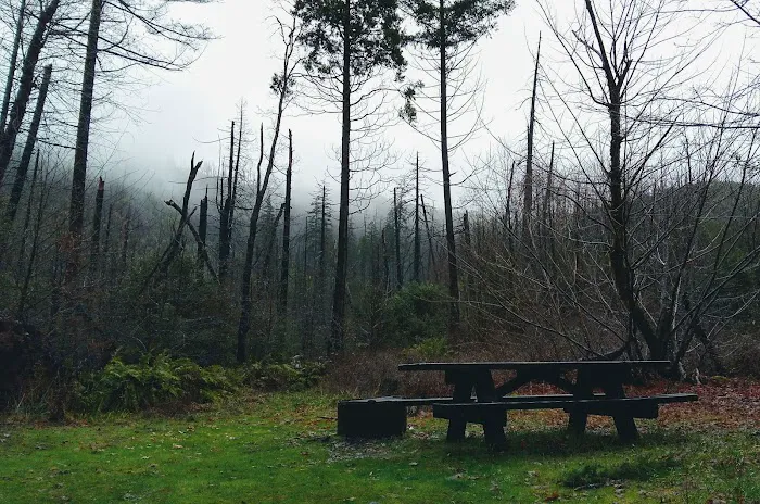 Briggs Creek Campground 3