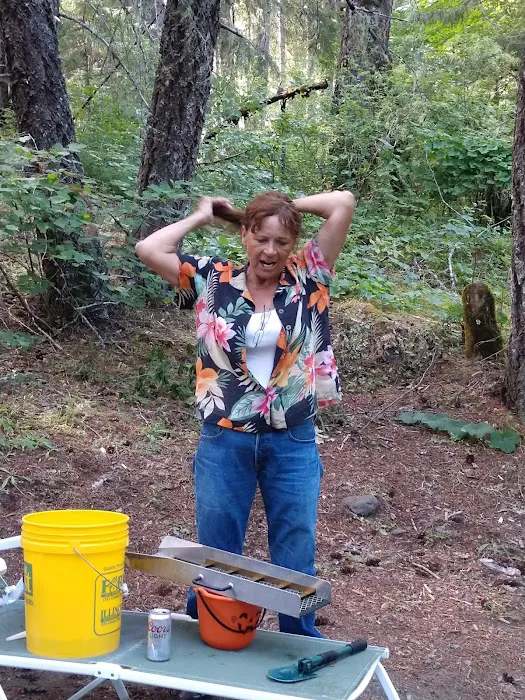 Briggs Creek Picnic Site 0