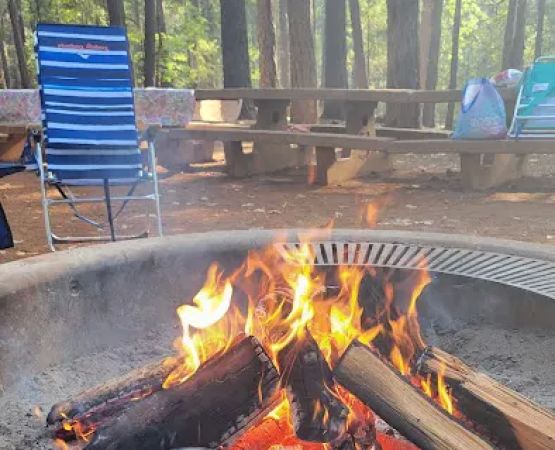 Fawn Loop C Group Campground
