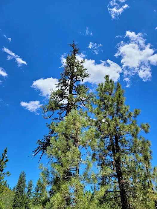 Hat Creek Campground 3