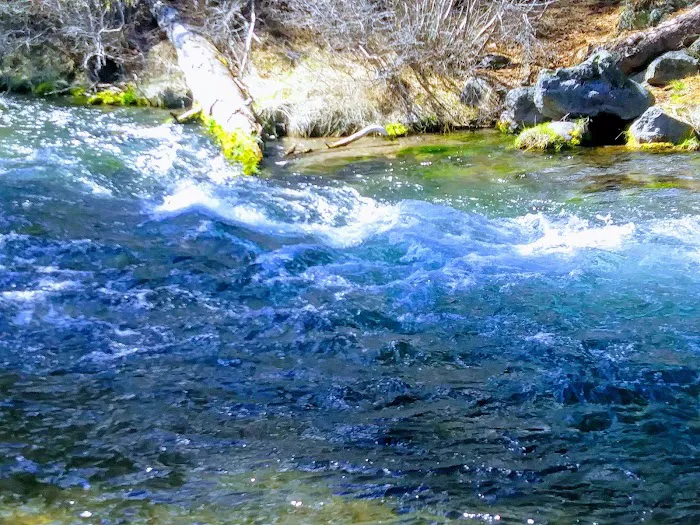 Hat Creek Campground 6