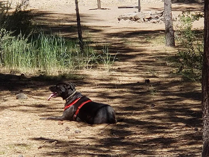 Hat Creek Campground 8