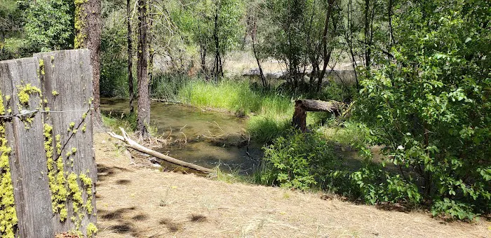 Big Pine Campground 3
