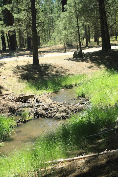Big Pine Campground 5