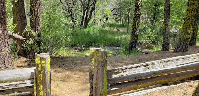 Big Pine Campground 9