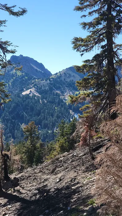 Lost Creek Group Campground 2