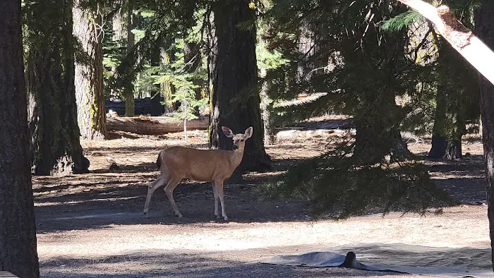 Lost Creek Group Campground 9