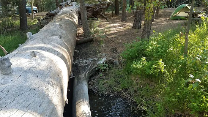 Butte Creek Campground 5