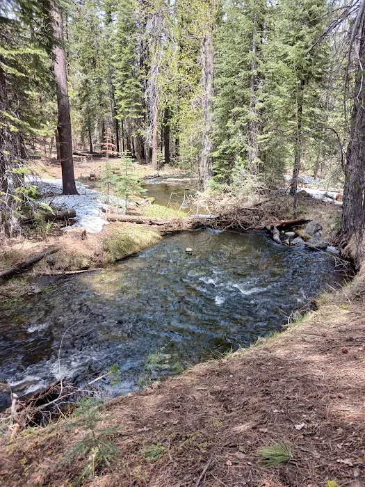 Butte Creek Campground 3