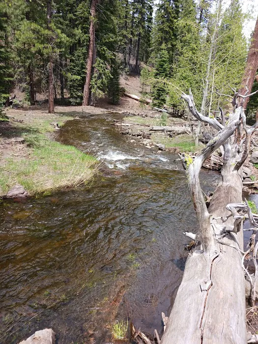 Butte Creek Campground 9