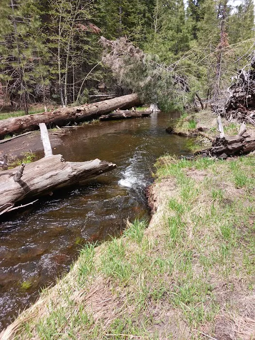 Butte Creek Campground 8