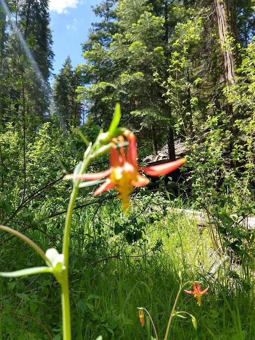 Upper Rush Creek Campground 2