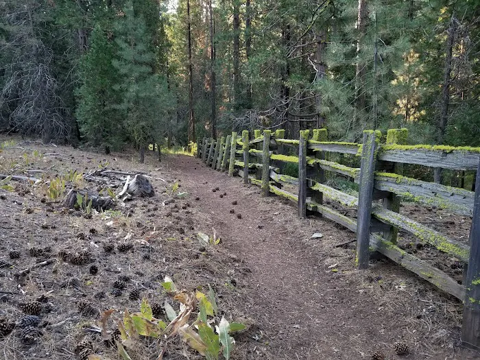 Upper Rush Creek Campground 7