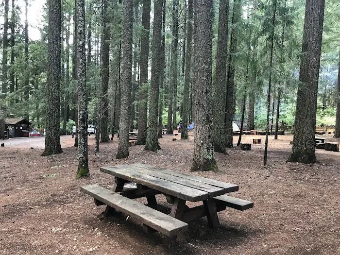 Hawkins Landing Campground 1