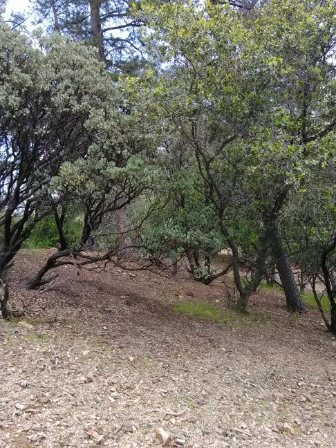 Mariners Point Loop 2 Group Campground 0