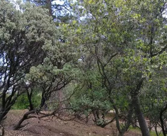 Mariners Point Loop 2 Group Campground
