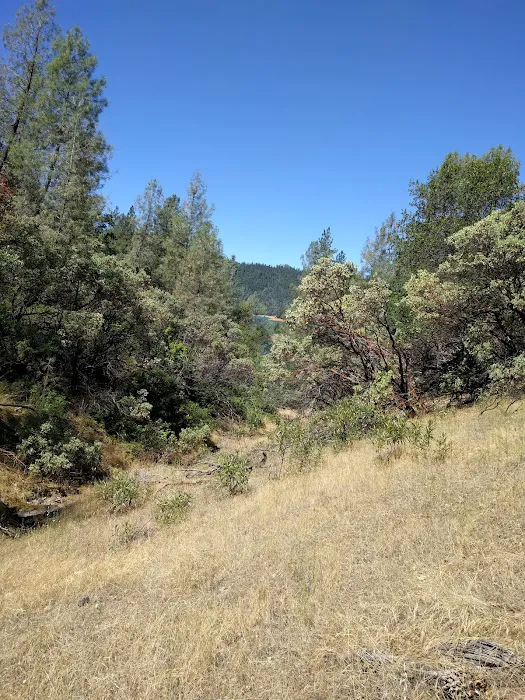 Mariners Point Loop 2 Group Campground 7