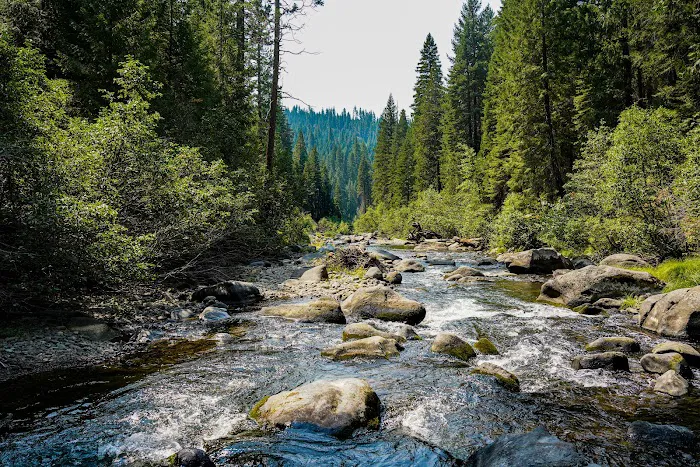 Mill Creek Campground 2
