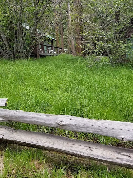 Mill Creek Campground 5