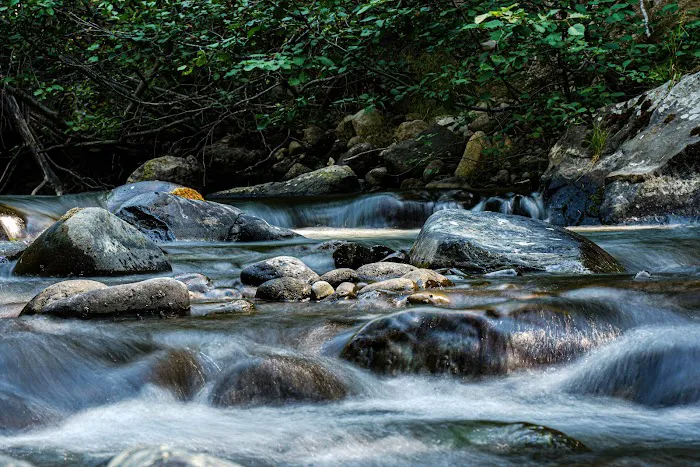 Mill Creek Campground 8