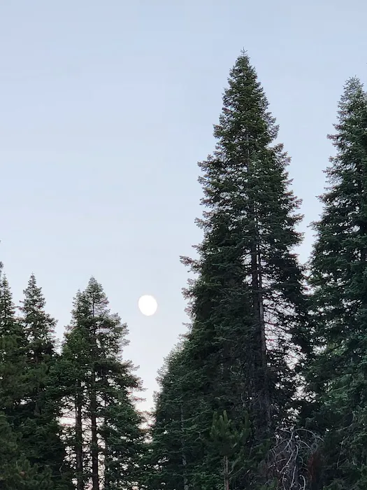 Gurnsey Creek Campground 3