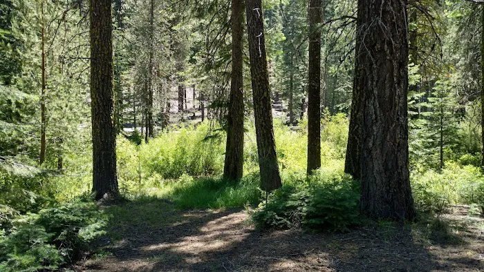 Gurnsey Creek Campground 1
