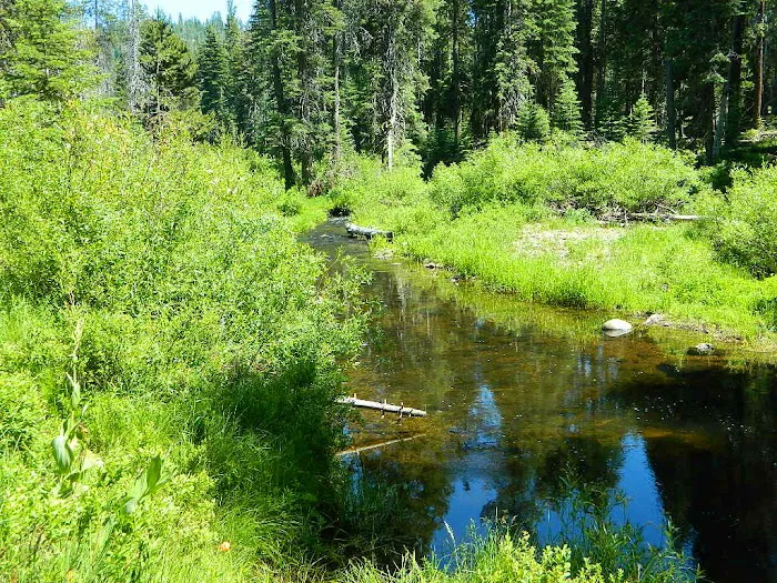 Gurnsey Creek Campground 2