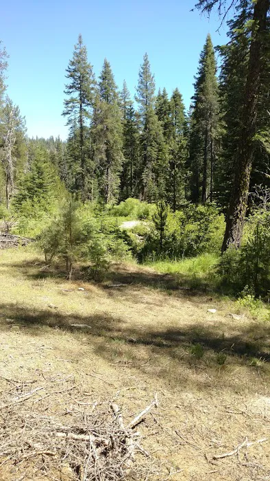 Gurnsey Creek Campground 9