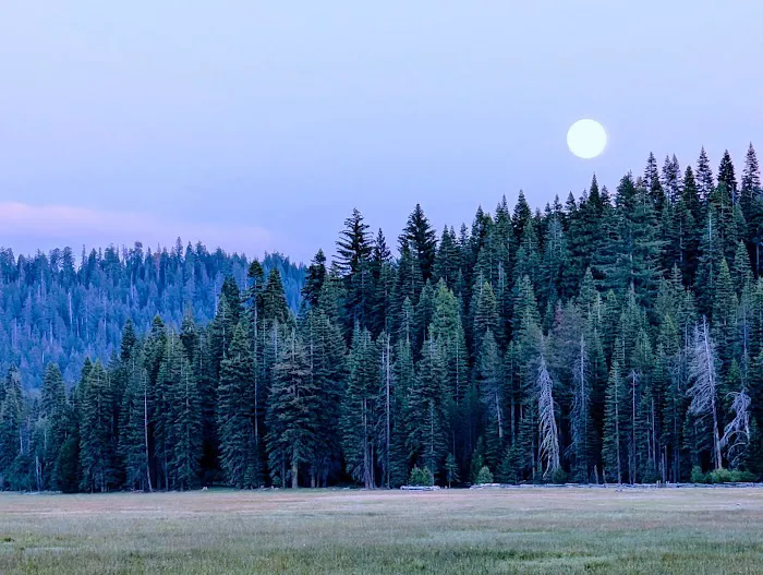 Mt. Lassen Camp (AG) 1