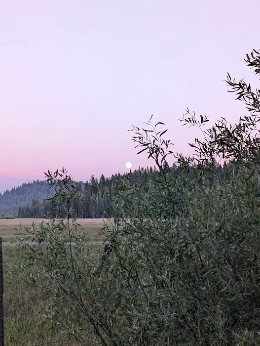 Mt. Lassen Camp (AG) 3