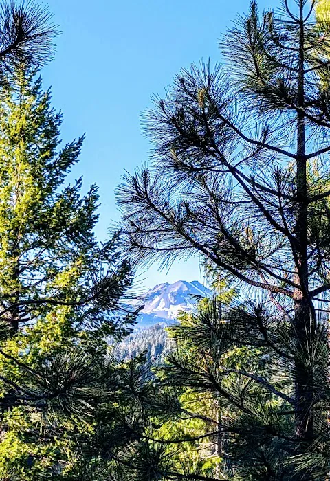 Mt. Lassen Camp (AG) 5