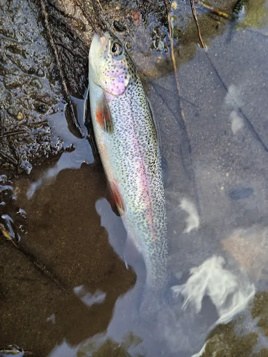Battle Creek Campground 1