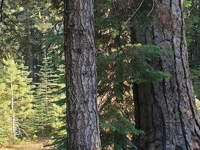 Battle Creek Campground 5