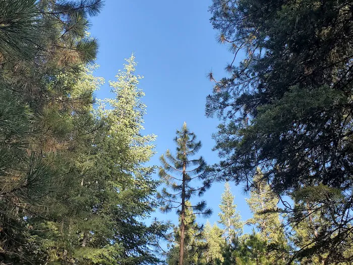 Battle Creek Campground 6