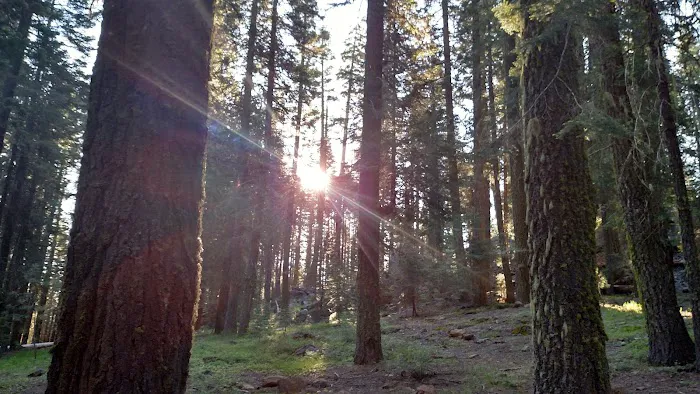 Battle Creek Campground 9