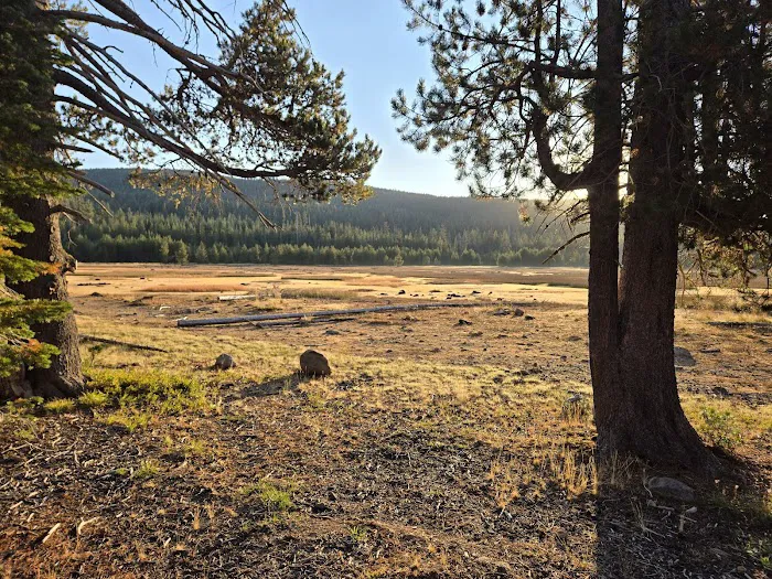 Dry Lake Campground 2