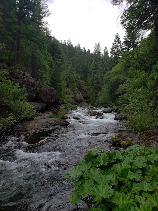 Alder Creek Campground 0