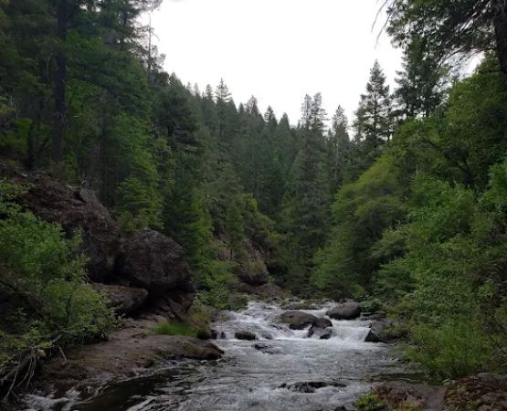 Alder Creek Campground