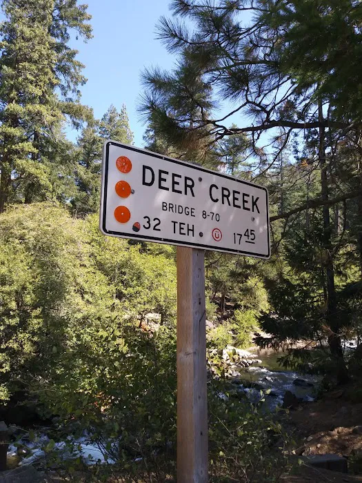 Alder Creek Campground 5
