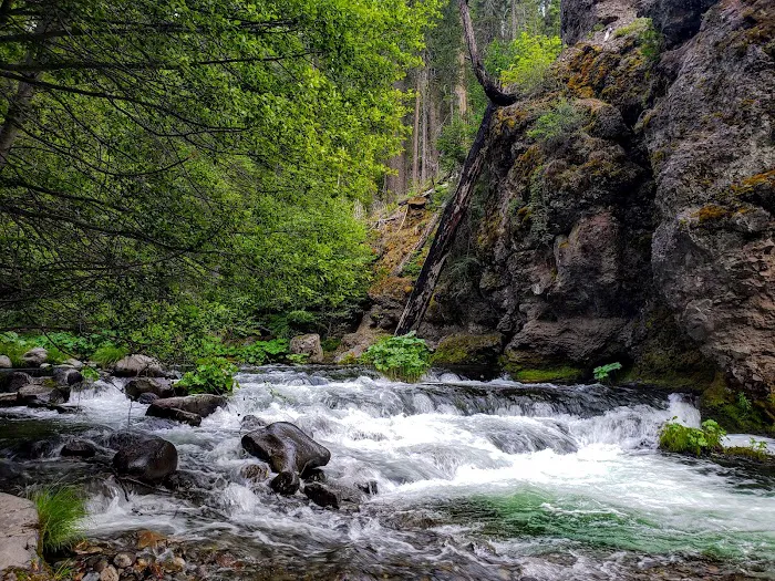 Alder Creek Campground 3