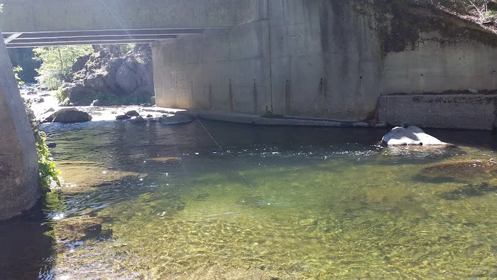 Alder Creek Campground 8