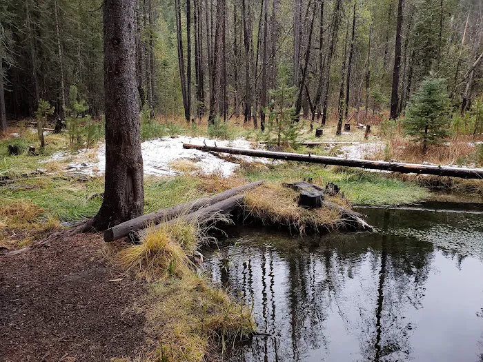 Willow Spring Campground 0