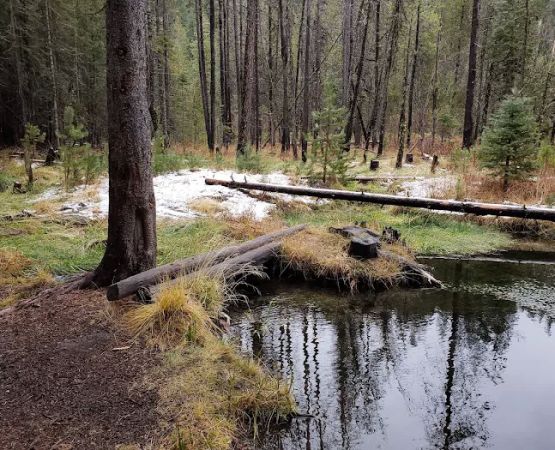 Willow Spring Campground