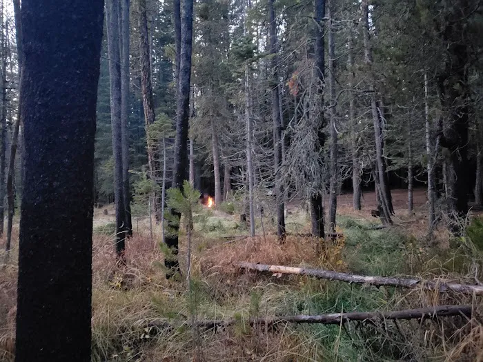 Willow Spring Campground 3
