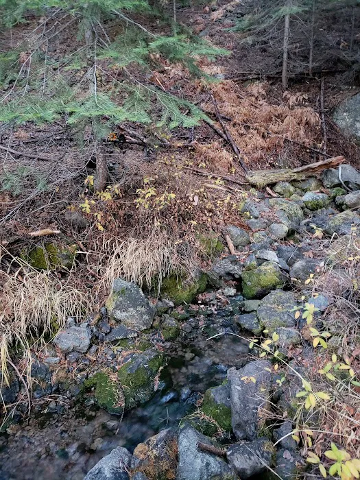 Willow Spring Campground 6