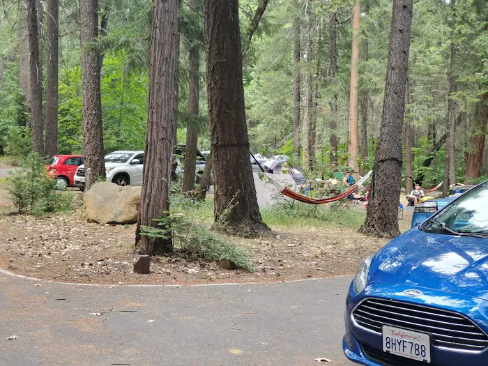 Potato Patch Campground 1