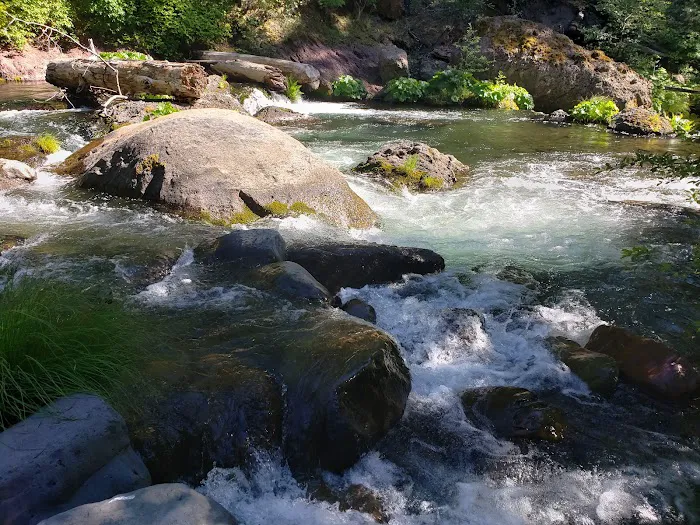 Potato Patch Campground 6
