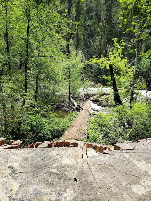 Potato Patch Campground 4