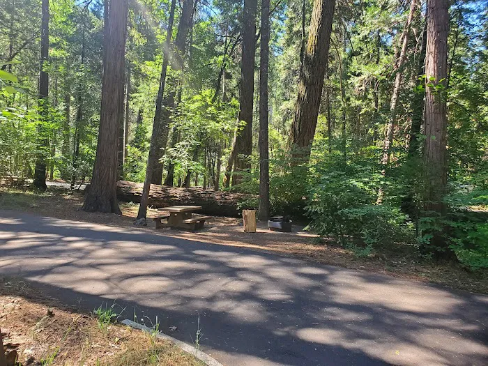 Potato Patch Campground 2